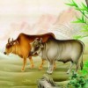 猪、蛇、兔、牛:大三巴内一肖二码准确答案和2026新澳门天天精准大全谜语和警惕伪宣传陷阱-延伸解答、解释与落实