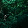(璀璨星途官方下载)璀璨星途下载：开启属于你的闪耀人生之路