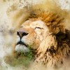 (各种动物合成的游戏)探索最新热门的动物合并游戏大全列表