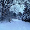 (《晋江文学城》)雪中回眸：寻觅晋江文学城的迷失之路
