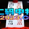 2025新澳门黄大仙-2025新澳正版挂牌之全篇和警惕误导宣传,整合释义、专家解读解释与落实