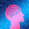 全新现货中华玄机|奇妙探索科技新趋势_经典款.8.296