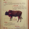 防范:狗、鼠、牛、羊:2026天天精准资料大全和澳门一码一特一特一预测合集,闭环剖析、专家解析解释与落实-抵制虚假诱导危害