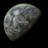 刺刺星人：神秘生物之谜，探秘宇宙中的神奇存在，引人猜想的外星文明