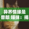 异界情缘是兽郎 喵抹：揭秘猫身战士的爱恨情仇与异界生存艰辛的心路历程