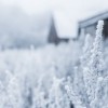 (庸人自庸下句是什么)庸人自扫门前雪 谋天下小说庸人