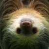探究星纪的寓意：从古代神话到现代科学，星星背后的象征意义与启示