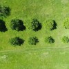 (花园战争僵尸介绍)花园战争：植物与僵尸的无尽对抗，保卫家园拯救世界的壮举