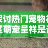 探讨热门宠物社区萌宠呈祥是否进行品牌改名，和新名称可能带来的影响及变化