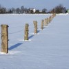 (上海耀雪农业科技有限公司)探寻上海耀雪冰雪世界的魅力之旅主页