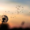探秘那个神秘的世界：和妖怪的恋爱时光相似的文学世界