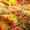 (彩虹橙子图片)探寻彩虹橙官网充满惊喜与欢乐的多彩世界
