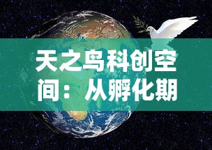 天之鸟科创空间：从孵化期到成长期的技术指导和申请支持如何助力创新型企业发展