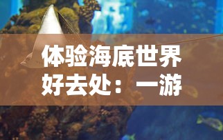 体验海底世界好去处：一游水族馆乐园无限金币无限钻石，尽享精彩海洋生物与热门游戏无限挑战