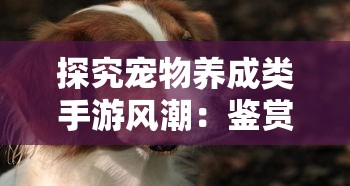 详细解析月影之塔第十二关攻略：从战术布置到角色选择的全面突破策略