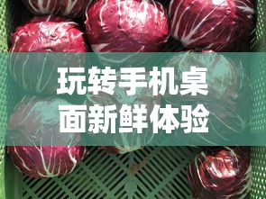 玩转手机桌面新鲜体验：详解萌兽贝贝小组件操作攻略与实用技巧