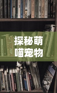 无尽之魂iOS免登录版：一键操作享受无限乐趣，告别繁琐登录过程，揭秘移动游戏新体验