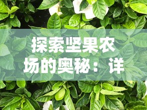 探索坚果农场的奥秘：详解对种植环境、生长过程及营养价值的深度研究笔记