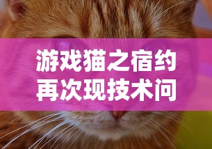 详解寻侠之侠影在什么平台进行线上对战：挖掘线上游戏平台的便捷性与逼真体验