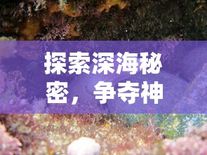 探索深海秘密，争夺神秘宝藏：揭秘海底寻宝大作战游戏的刺激与趣味