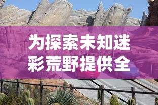 为探索未知迷彩荒野提供全方位解析：荒野冒险世界攻略大全之生存、探索与战斗策略全解析