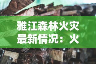 详解网络热词'千斩'的含义与来源：从游戏术语到日常用语的演变过程