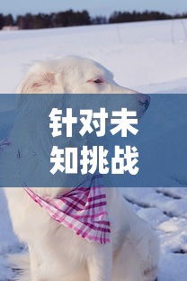 四肖中特期期免费公开资料|智能科技助你生活更便捷_电影款.0.943