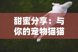 (星钻物语手游下载)探寻星钻物语手游官网的奇幻世界之旅