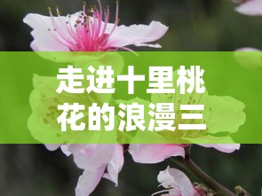 走进十里桃花的浪漫三生三世，揭秘古代人文情感与自然环境的完美交融