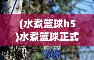 新澳门精准正版免费资料|探索城市文化的独特魅力_机动版.1.248