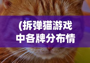 (拆弹猫游戏中各牌分布情况)一起揭秘拆弹猫游戏，详解各类牌具有的数量及其作用