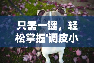 (朝歌官网)朝歌兑换码：获取兑换码，畅享优惠福利和特权活动