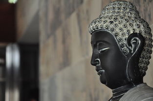 在神秘神俑的降临之际,屠钰与顾游共谋阻止祸端,揭露历史之谜:浴火重生的缔造神奇的勇士传奇 在神秘神俑的降临之际,屠钰与顾游共谋阻止祸端,揭露历史之谜:浴火重生的缔造神奇的勇士传奇