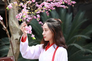 重塑古人形象:科技方法助力貂蝉长相复原,震撼全球引发关于中国古代美女标准的深度讨论 重塑古人形象:科技方法助力貂蝉长相复原,震撼全球引发关于中国古代美女标准的深度讨论