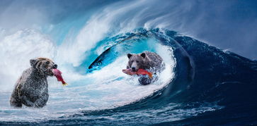 (电脑桌面鱼的动态壁纸图片)精美电脑桌面壁纸大全合集：绚丽鱼群、清新水下风景一应俱全