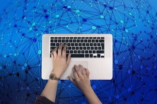 租房大师折相思免广告，让您轻松找到理想的居住地点，省时省力又省心