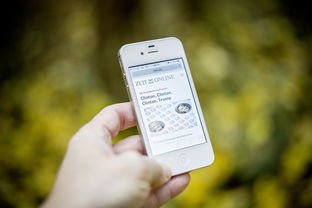 (将夜之遮天功法)将夜遮天记:探寻苍穹下的奇幻世界与英雄传奇 (将夜之遮天功法)将夜遮天记:探寻苍穹下的奇幻世界与英雄传奇