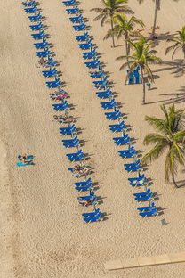 香港免费资料大全|权威研究解释落实_潮流版HS.8.301