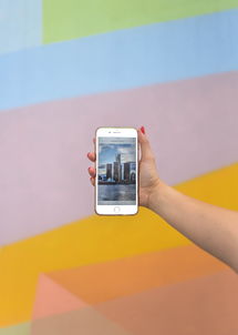 二四六香港天天开彩大全|经典案例解释落实_iPhone0.113