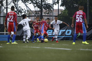 以赤月传说2为主题，深度解析角色技能升级和副本攻略：不得不知的游戏细节和秘籍分享