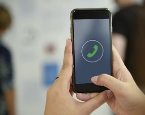 7777888888精准新管家|解锁生活小技巧分享_传统集.5.397 7777888888精准新管家|解锁生活小技巧分享_传统集.5.397