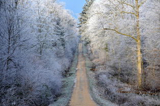2024新澳门彩免费资料|深度解答解释落实_精简版.4.302 2024新澳门彩免费资料|深度解答解释落实_精简版.4.302