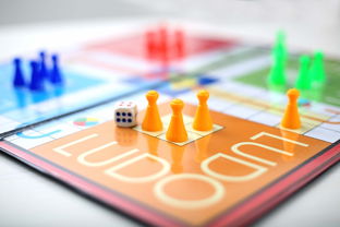 新澳门彩4949最新开奖视频|探索未来的幸运与机会_理财版.3.179 新澳门彩4949最新开奖视频|探索未来的幸运与机会_理财版.3.179