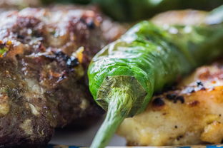 (梦幻动物小镇)探秘微信小程序梦幻动物城的独特菜肴配方与烹饪技巧 (梦幻动物小镇)探秘微信小程序梦幻动物城的独特菜肴配方与烹饪技巧