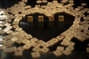 深度解析：遗忘仙境官方正版如何通过独特玩法设计吸引全球游戏爱好者的眼球