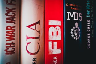 2024澳门历史开奖记录65期|探索世界的未知奥秘_视觉版.5.533