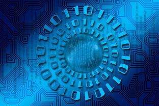 大赢家澳门4949彩论坛高手|未来解答解释落实_智慧版ISHOP.1.501