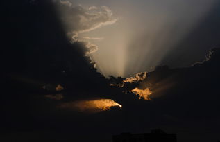 (黄金太阳1超详细攻略)详解《黄金太阳》完全详尽攻略：剧情解读与秘籍技巧分享视频