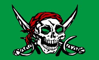 (大海贼布局)探寻大海贼10个最佳配方：如何打造强大的海贼团？