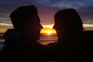 末日地平线之黎明之战：世界在危机中，勇士们挑战命运，拯救人类未来